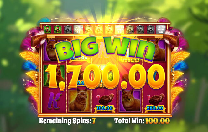 Photo gallery 4 for Feathered Fortunes game