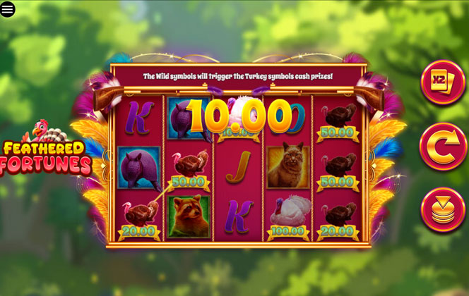 Photo gallery 2 for Feathered Fortunes game