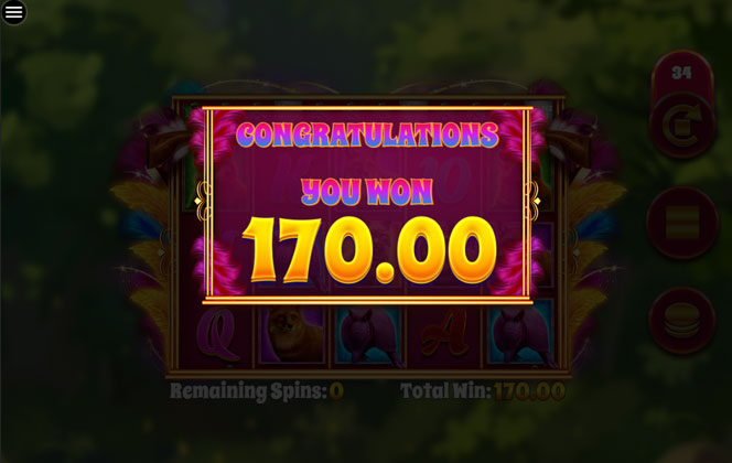 Photo gallery 1 for Feathered Fortunes game