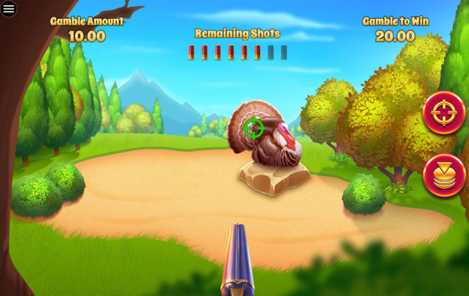 Photo gallery 3 for Feathered Fortunes game