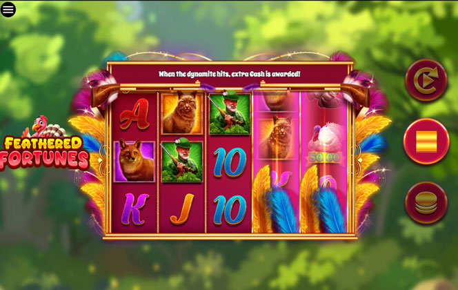 Photo gallery 5 for Feathered Fortunes game