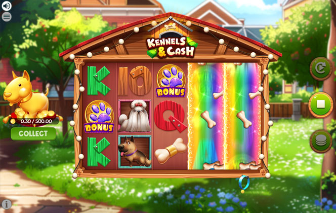 Photo gallery 2 for Kennels and Cash game