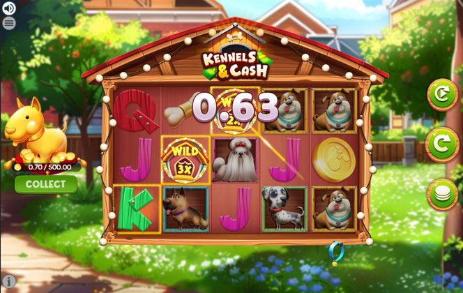 Photo gallery 3 for Kennels and Cash game