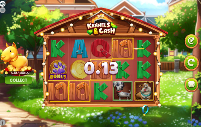 Photo gallery 1 for Kennels and Cash game
