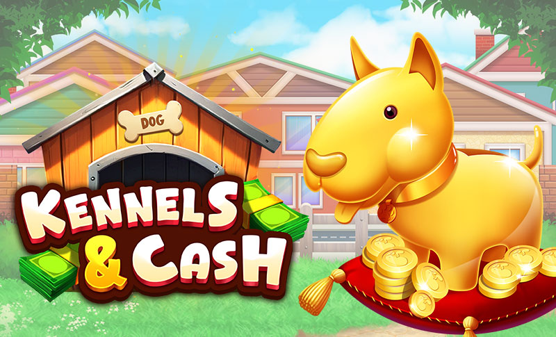 Kennels and Cash